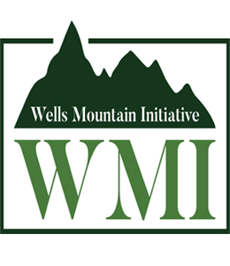 Wells Mountain